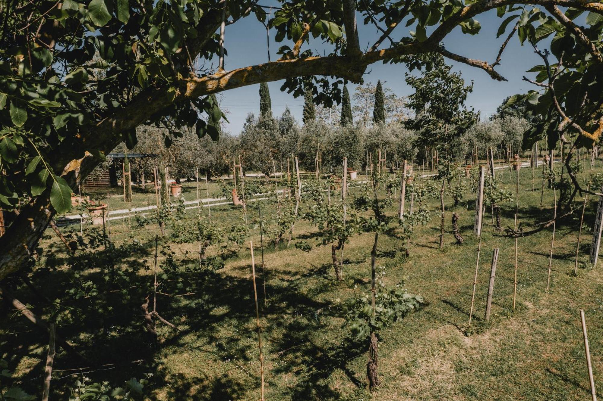 Podere Biagio Valiano Buitenkant foto